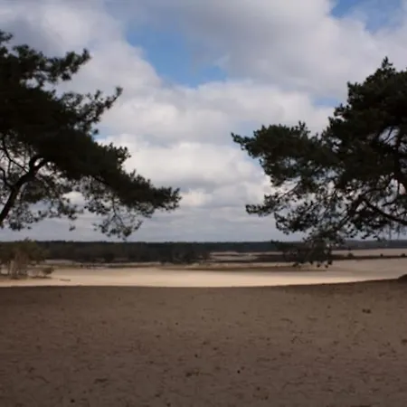 Natuurhuisje Bos En Ven * Oisterwijk