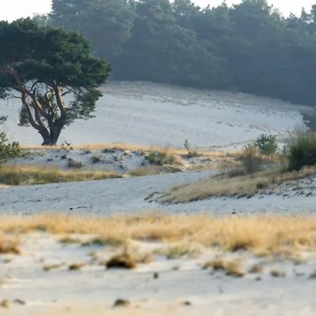 Natuurhuisje Bos En Ven Horská chata *