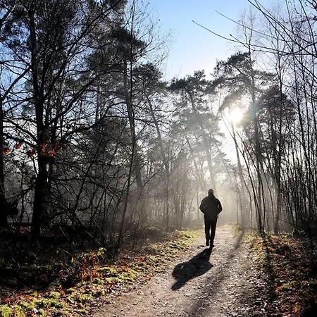 Natuurhuisje Bos En Ven Horská chata *