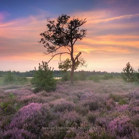 Horská chata Natuurhuisje Bos En Ven *
