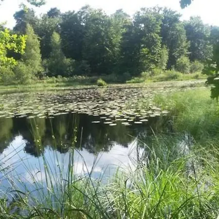 Natuurhuisje Bos En Ven Horská chata *