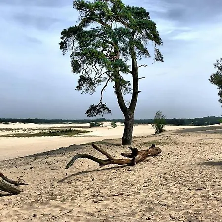 Horská chata Natuurhuisje Bos En Ven *