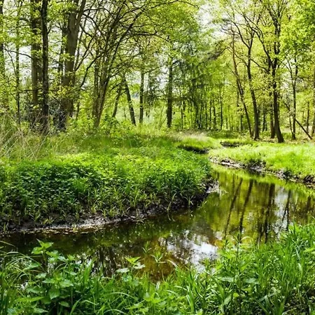 Natuurhuisje Bos En Ven Oisterwijk