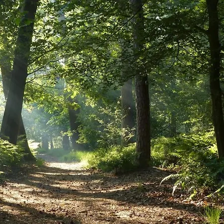 Horská chata Natuurhuisje Bos En Ven Oisterwijk